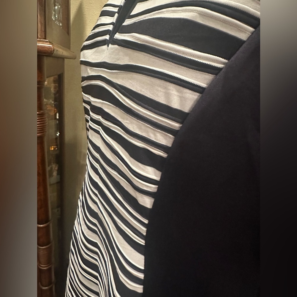 EUC Connected Apparel Striped Knee Length Sheath Dress Blue & White - Picture 5 of 8